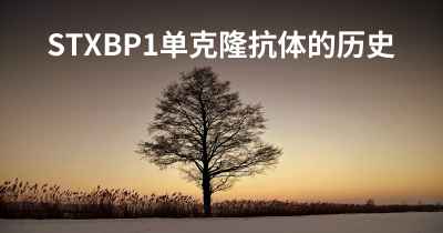 STXBP1单克隆抗体的历史