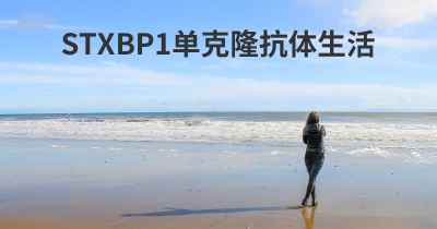 STXBP1单克隆抗体生活