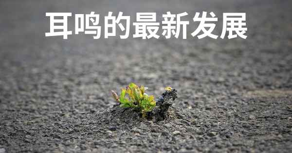耳鸣的最新发展