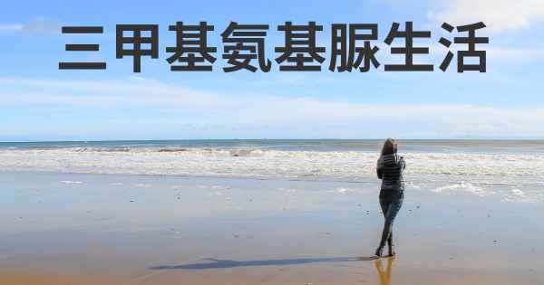 三甲基氨基脲生活