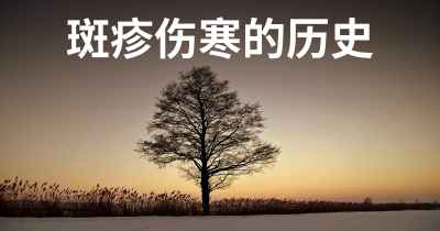 斑疹伤寒的历史