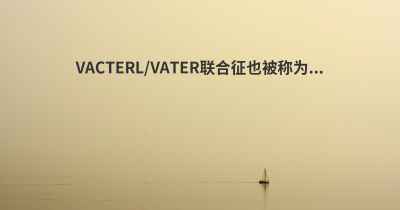 VACTERL/VATER联合征也被称为...
