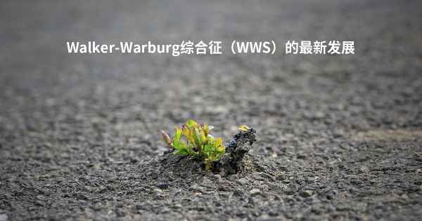 Walker-Warburg综合征（WWS）的最新发展