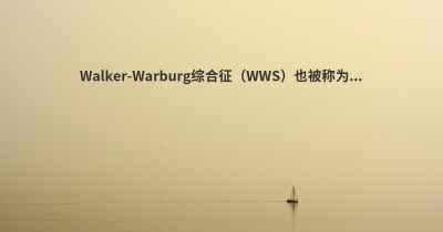 Walker-Warburg综合征（WWS）也被称为...