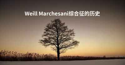 Weill Marchesani综合征的历史