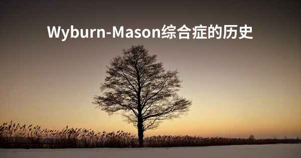Wyburn-Mason综合症的历史
