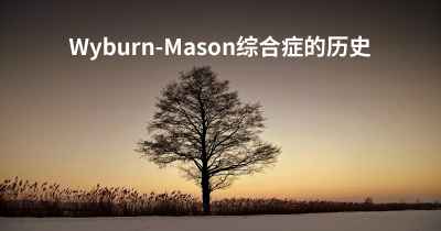 Wyburn-Mason综合症的历史