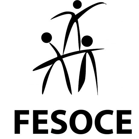 Federación Española de Sordoceguera FESOCE
