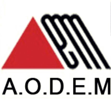 Asociación Ourensana de Esclerosis Múltiple, ELA, Parkinson y otras enfermedades neurodegenerativas (AODEM)