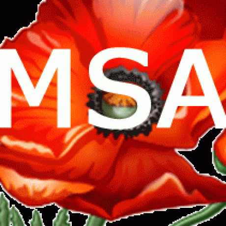 MSA-AMS Belgium