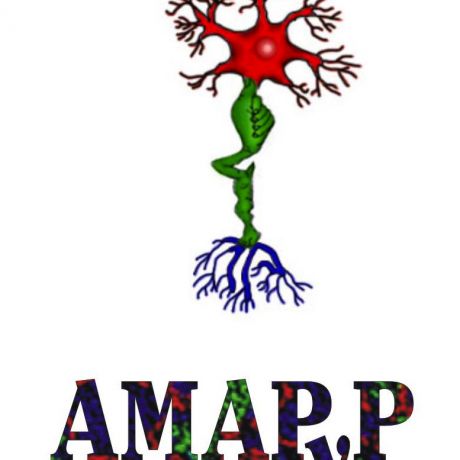 Asociación Malagueña de Afectados Polio y Postpolio "AMAPyP"