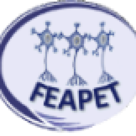 Federación Española de Asociaciones de Polio y sus Efectos Tardíos (FEAPET)