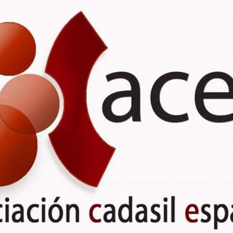 Asociación Cadasil España