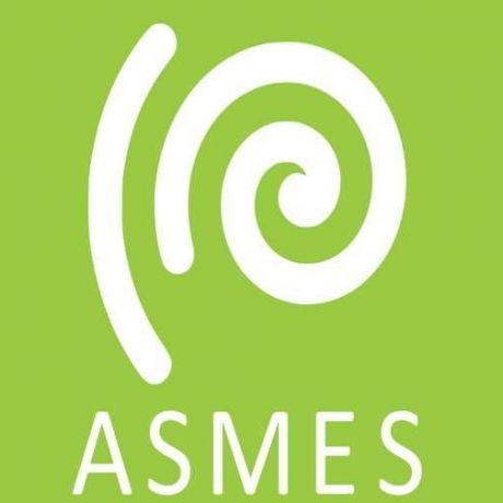Asociación Síndrome de Ménière España - ASMES