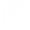 Diseasemaps logo