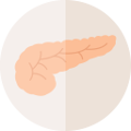 Endocrine system