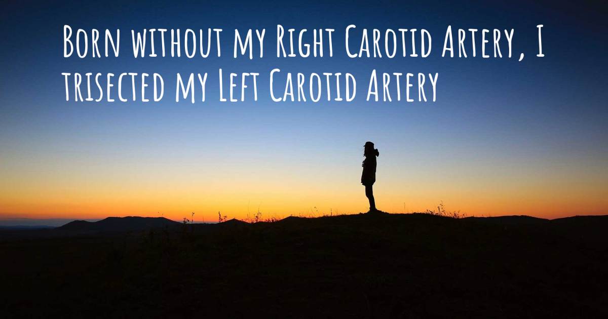 Story about Carotid Artery Dissection .