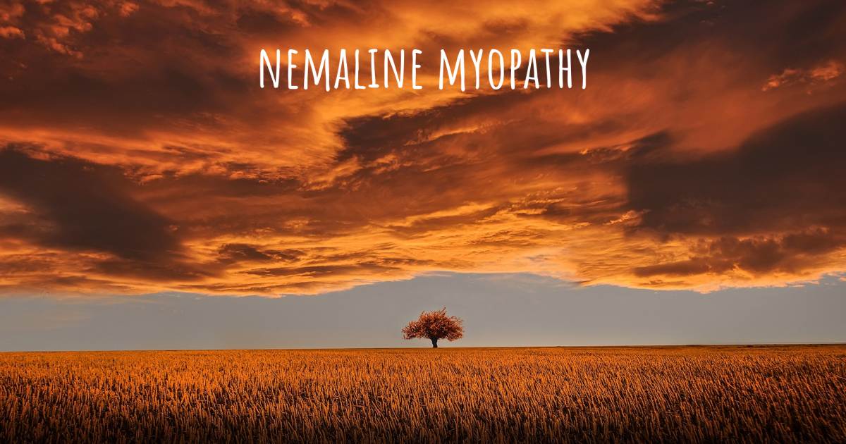 Story about Nemaline Myopathy , Nemaline Myopathy.