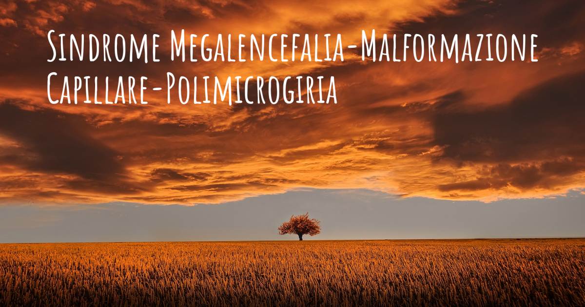 Storia di Sindrome Megalencefalia-Malformazione Capillare-Polimicrogiria (MCAP) , Sindrome Megalencefalia-Malformazione Capillare-Polimicrogiria (MCAP).