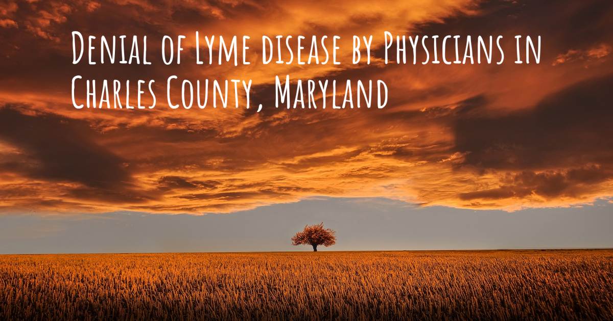 Story about Lyme Disease .