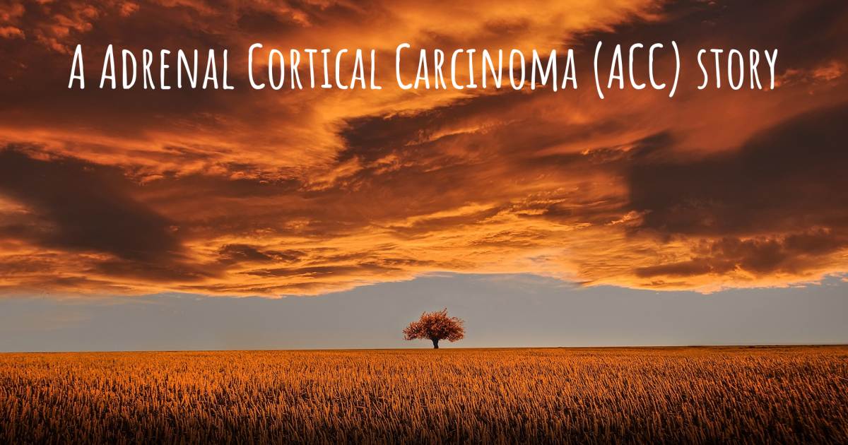 Story about Adrenal Cortical Carcinoma (ACC) .