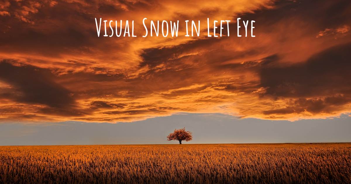 Story about Visual Snow .