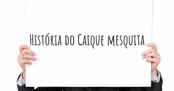 HISTÓRIA DO CAIQUE MESQUITA
