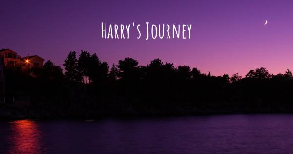 HARRY'S JOURNEY