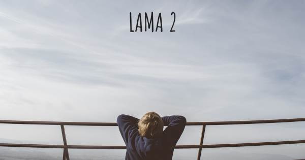 LAMA 2