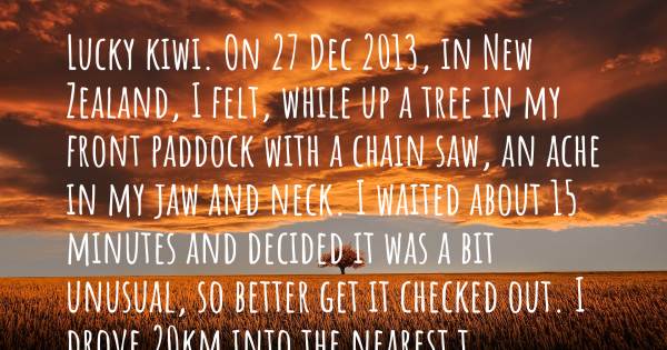 LUCKY KIWI. ON 27 DEC 2013, IN NEW ZEALAND, I FELT, WHILE UP A TREE IN...